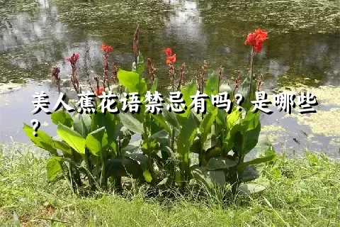 美人蕉花语禁忌有吗？是哪些？