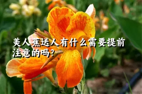 美人蕉送人有什么需要提前注意的吗？