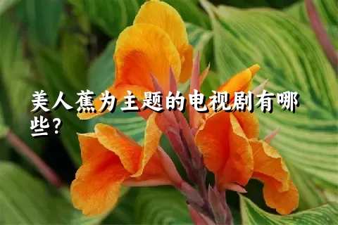 美人蕉为主题的电视剧有哪些？