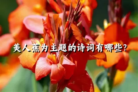 美人蕉为主题的诗词有哪些？