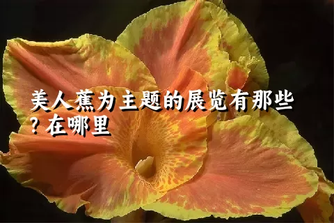 美人蕉为主题的展览有那些？在哪里