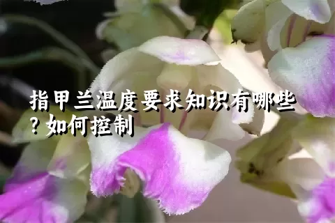 指甲兰温度要求知识有哪些？如何控制