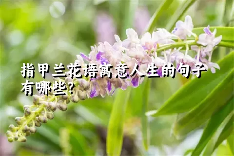 指甲兰花语寓意人生的句子有哪些？