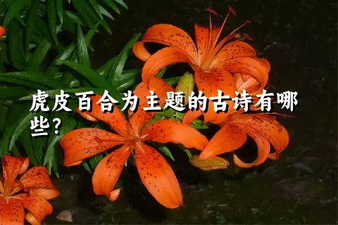 虎皮百合为主题的古诗有哪些？