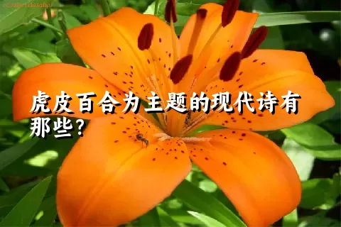 虎皮百合为主题的现代诗有那些？