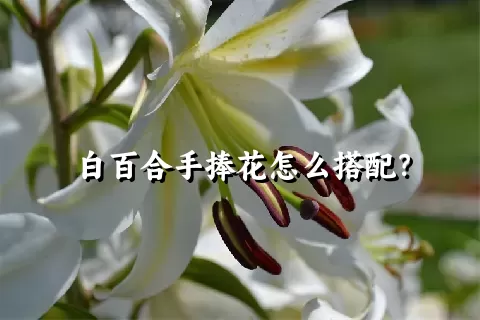 白百合手捧花怎么搭配？