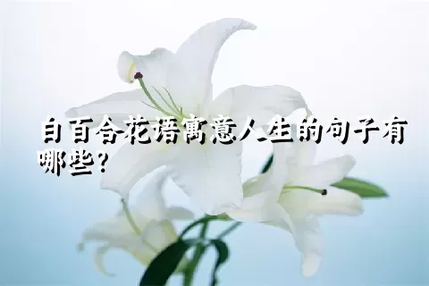 白百合花语寓意人生的句子有哪些？