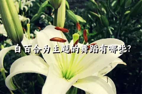 白百合为主题的舞蹈有哪些？