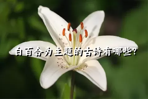 白百合为主题的古诗有哪些？