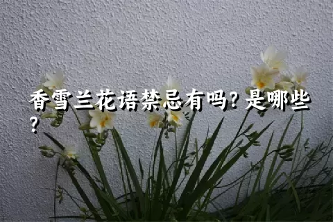 香雪兰花语禁忌有吗？是哪些？