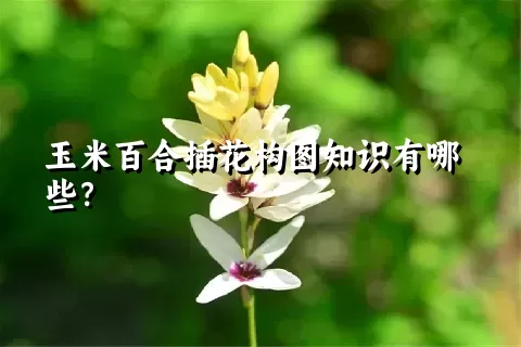 玉米百合插花构图知识有哪些？