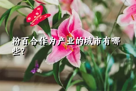 粉百合作为产业的城市有哪些？