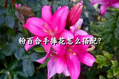 粉百合手捧花怎么搭配？