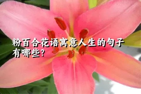 粉百合花语寓意人生的句子有哪些？