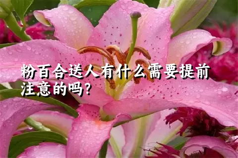 粉百合送人有什么需要提前注意的吗？