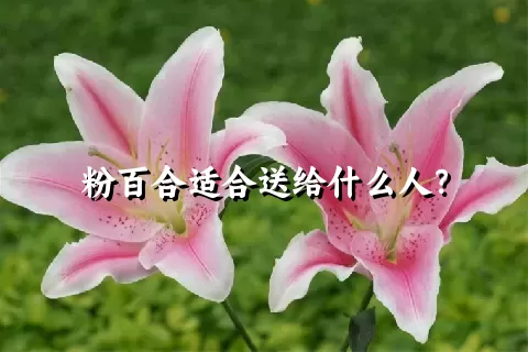 粉百合适合送给什么人？