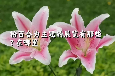 粉百合为主题的展览有那些？在哪里