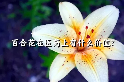 百合花在医药上有什么价值？