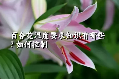 百合花温度要求知识有哪些？如何控制