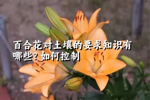 百合花对土壤的要求知识有哪些？如何控制