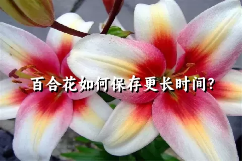 百合花如何保存更长时间？