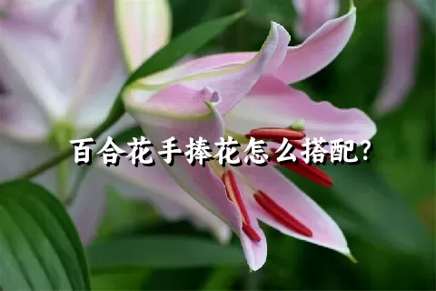 百合花手捧花怎么搭配？