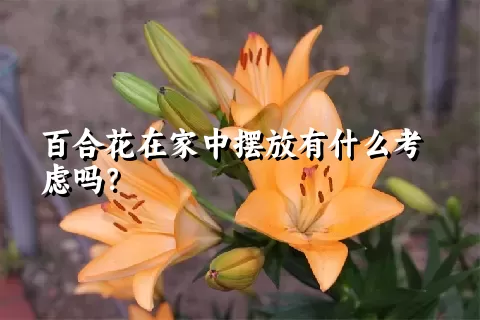 百合花在家中摆放有什么考虑吗？