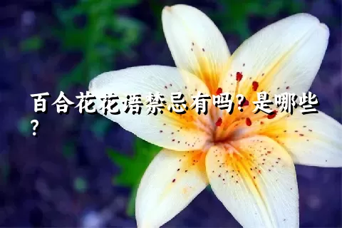 百合花花语禁忌有吗？是哪些？