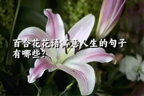 百合花花语寓意人生的句子有哪些？