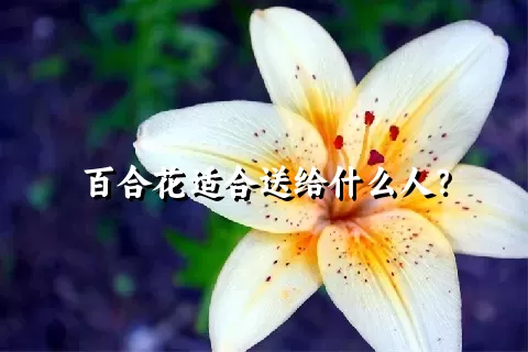 百合花适合送给什么人？