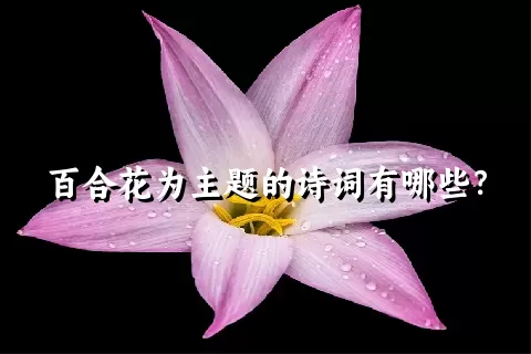 百合花为主题的诗词有哪些？