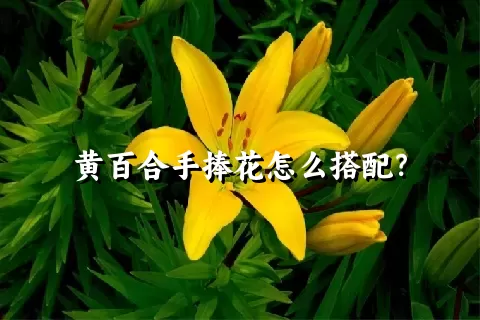 黄百合手捧花怎么搭配？