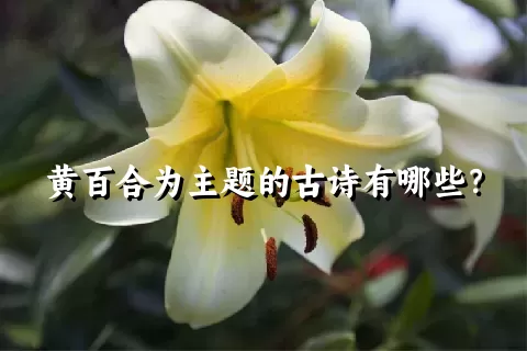 黄百合为主题的古诗有哪些？