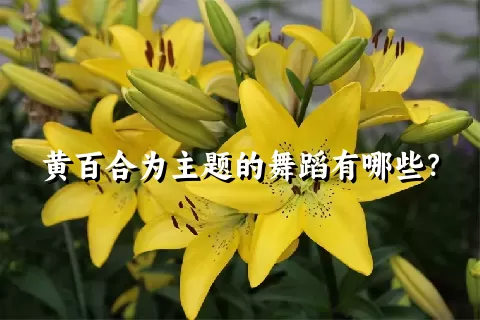 黄百合为主题的舞蹈有哪些？