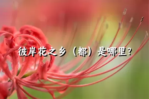 彼岸花之乡（都）是哪里？