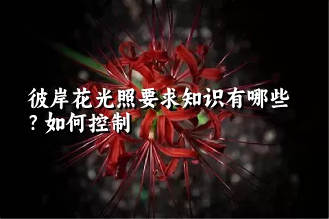 彼岸花光照要求知识有哪些？如何控制