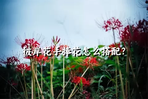 彼岸花手捧花怎么搭配？