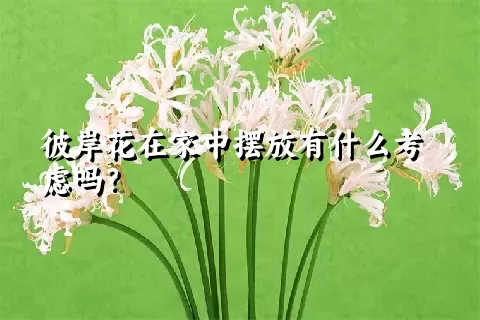 彼岸花在家中摆放有什么考虑吗？