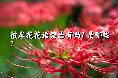 彼岸花花语禁忌有吗？是哪些？