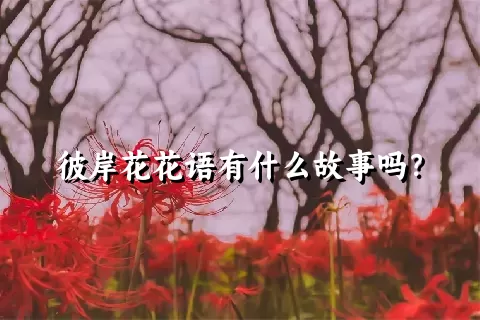 彼岸花花语有什么故事吗？