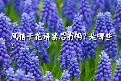 风信子花语禁忌有吗？是哪些？