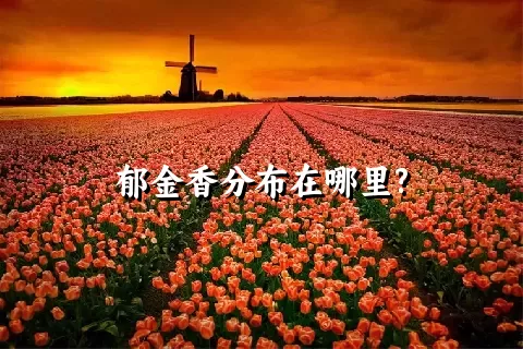 郁金香分布在哪里?