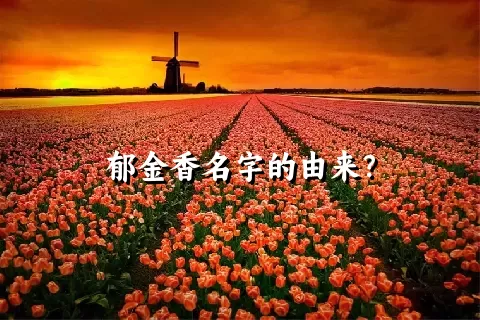 郁金香名字的由来？