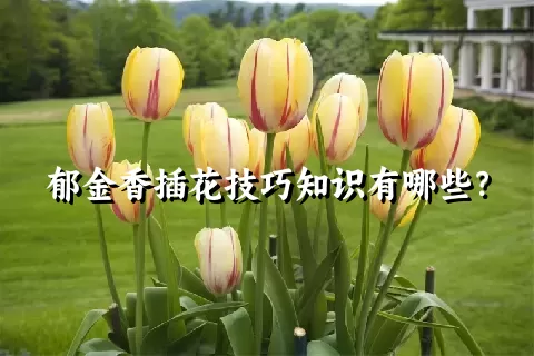 郁金香插花技巧知识有哪些？