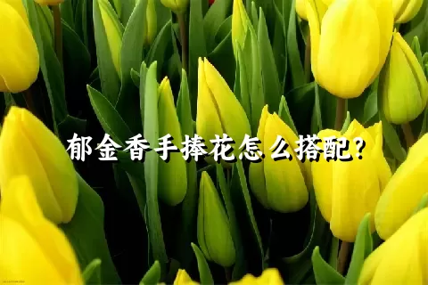 郁金香手捧花怎么搭配？