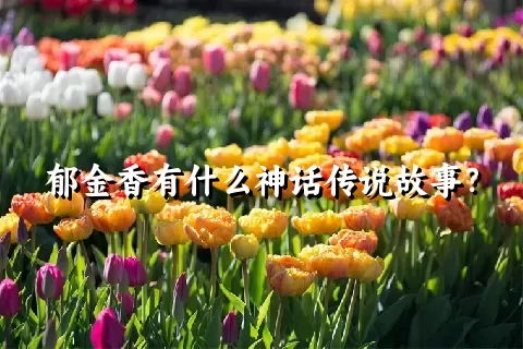 郁金香有什么神话传说故事？