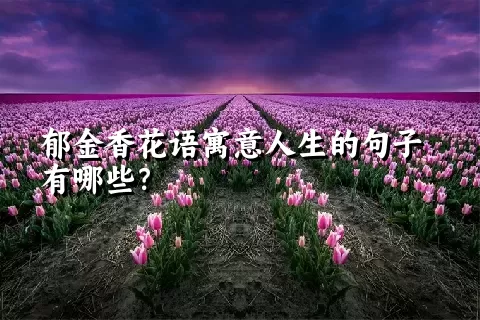 郁金香花语寓意人生的句子有哪些？