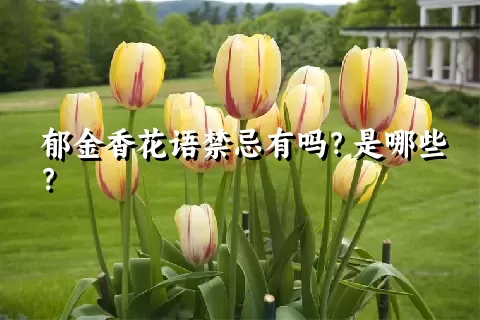 郁金香花语禁忌有吗？是哪些？