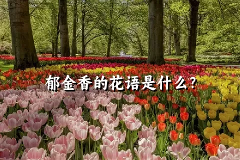 郁金香的花语是什么？