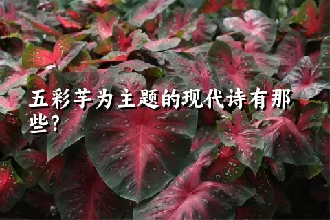 五彩芋为主题的现代诗有那些？